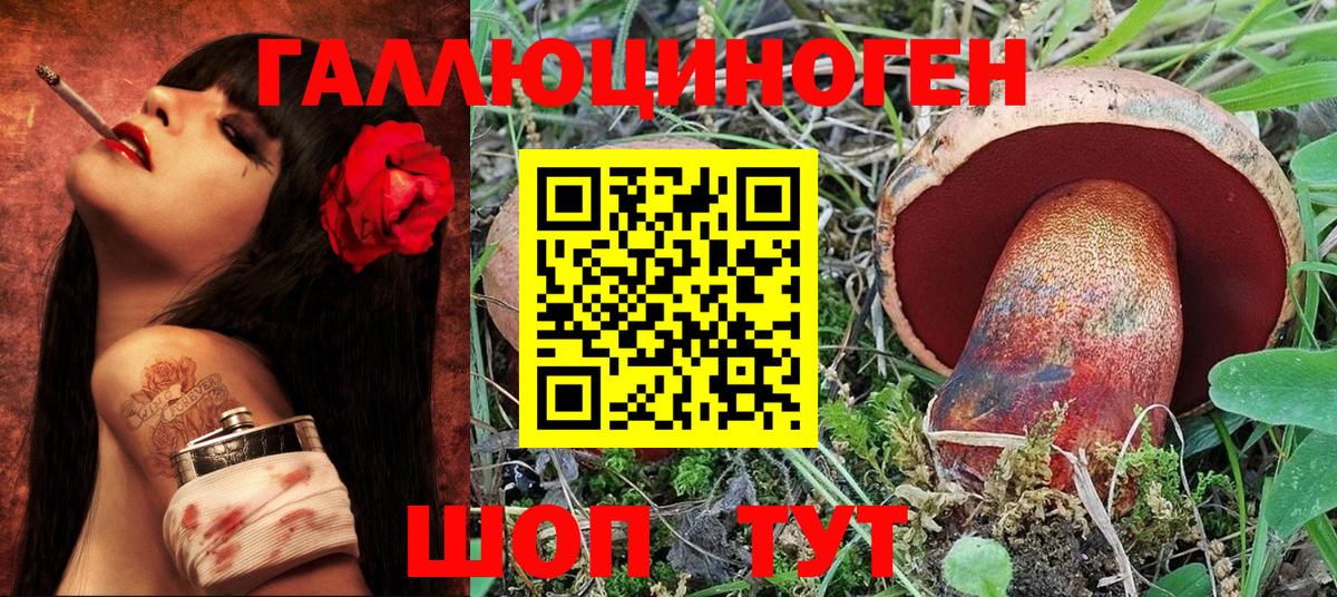 Павлово  Псилоцибиновые грибы Psilocybine cubensis  Вход с VPN  Псилоцибиновые грибы MAGIC MUSHROOMS 